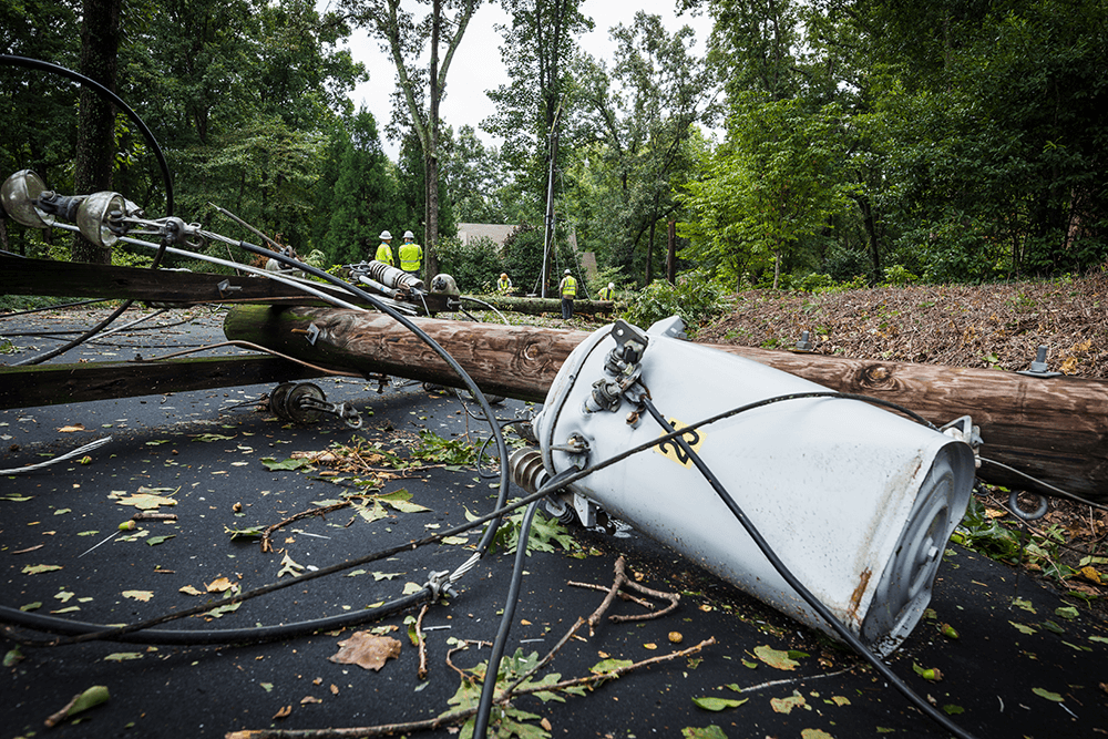 This is a photo of a power line that fell over during a storm